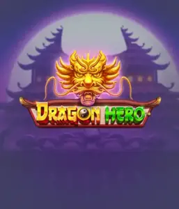 Enter a legendary quest with the Dragon Hero game by Pragmatic Play, highlighting stunning graphics of mighty dragons and heroic battles. Venture into a world where magic meets adventure, with symbols like enchanted weapons, mystical creatures, and treasures for a mesmerizing gaming experience.